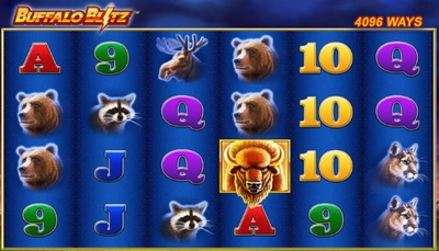 Buffalo Blitz